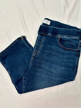 LANE BRYANT PULL-ON DARK DENIM JEANS, HIGH RISE JEGGING PEDAL, SIZE 22